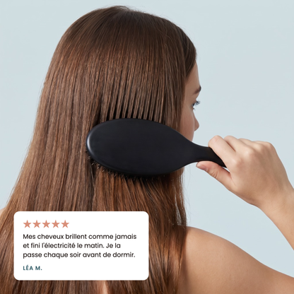 La Brosse Sanglier