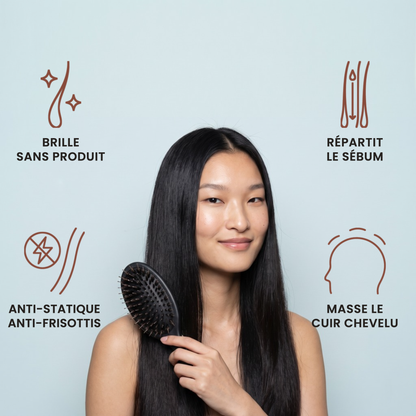 La Brosse Sanglier