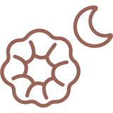 Aucun pli